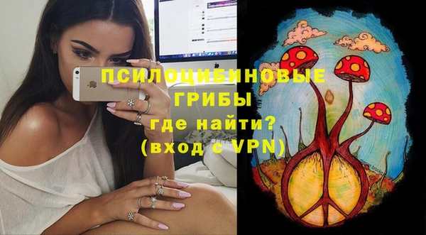 mix Белокуриха