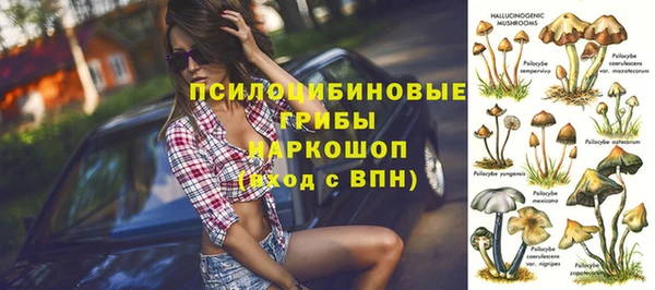 крисы Беломорск