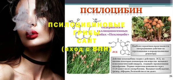 mix Белокуриха