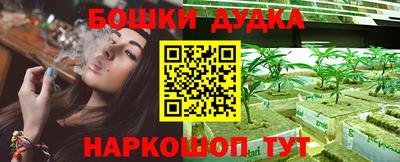 apvp Дубна