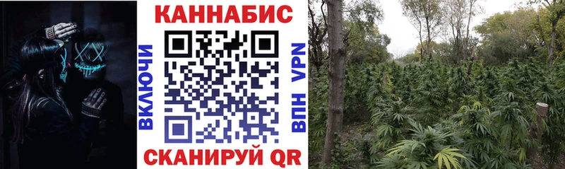 Шишки марихуана ГИДРОПОН купить цена Минеральные Воды